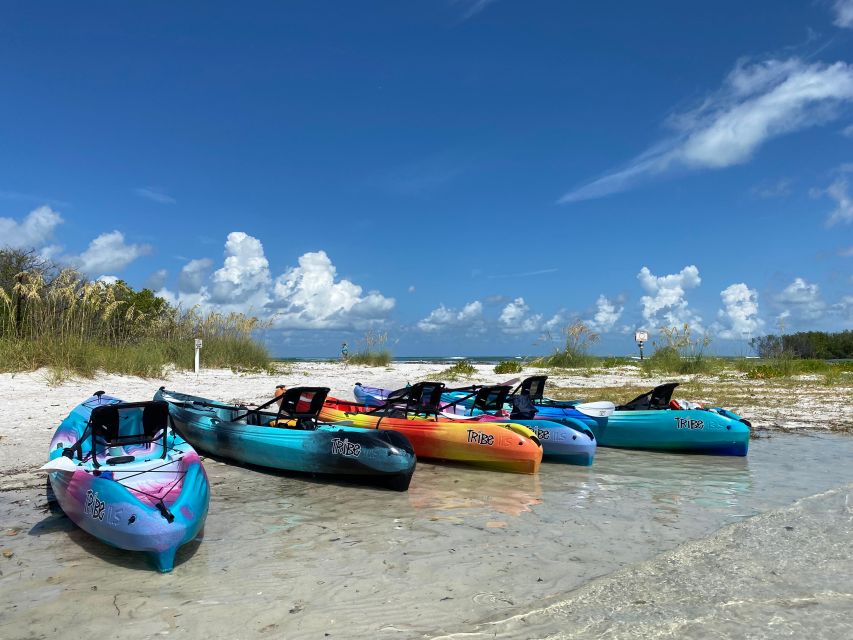 Tierra Verde FL: Coastal Kayaking Tour in Shell Key - The first hour: paddling through open water and mangrove tunnels