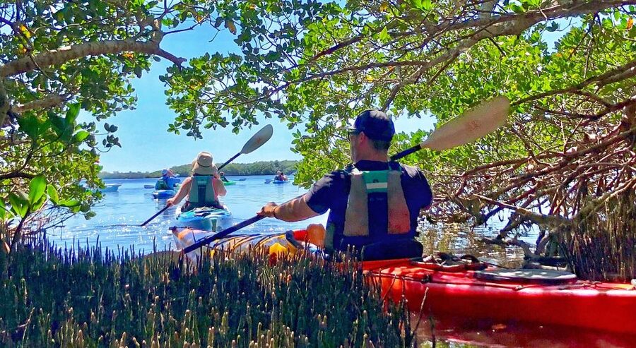 Tierra Verde FL: Coastal Kayaking Tour in Shell Key - Wildlife, with nature talk instead of a simple paddle