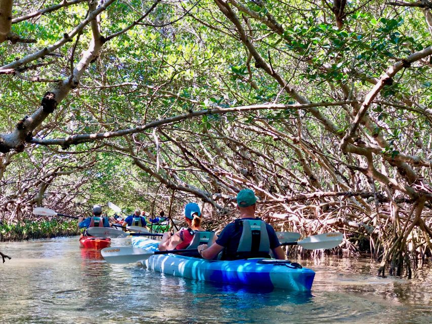 Tierra Verde FL: Coastal Kayaking Tour in Shell Key - Is $65 per person a fair price?