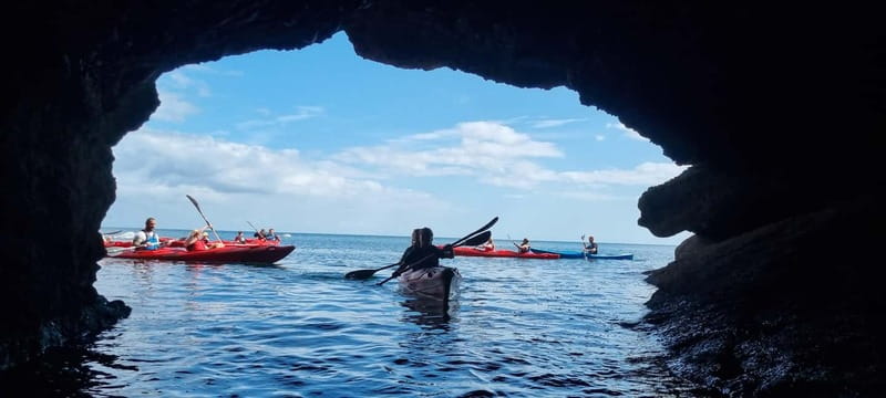 Torquay: Guided Wildlife, Bushcraft, Sea Cave Kayak Safari - Starting at Oddicombe Beach