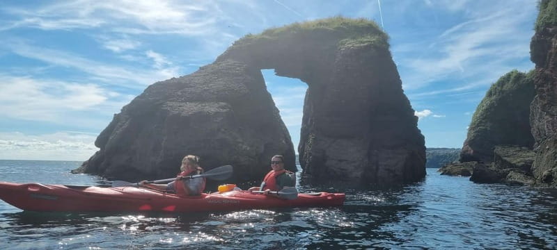 Torquay: Guided Wildlife, Bushcraft, Sea Cave Kayak Safari - Watching seals from the water