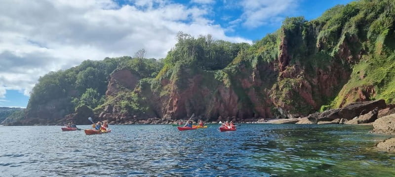 Torquay: Guided Wildlife, Bushcraft, Sea Cave Kayak Safari - Wild swimming and the return paddle