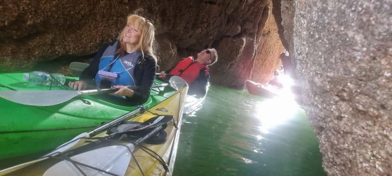 Torquay: Guided Wildlife, Bushcraft, Sea Cave Kayak Safari - Is $74 good value?