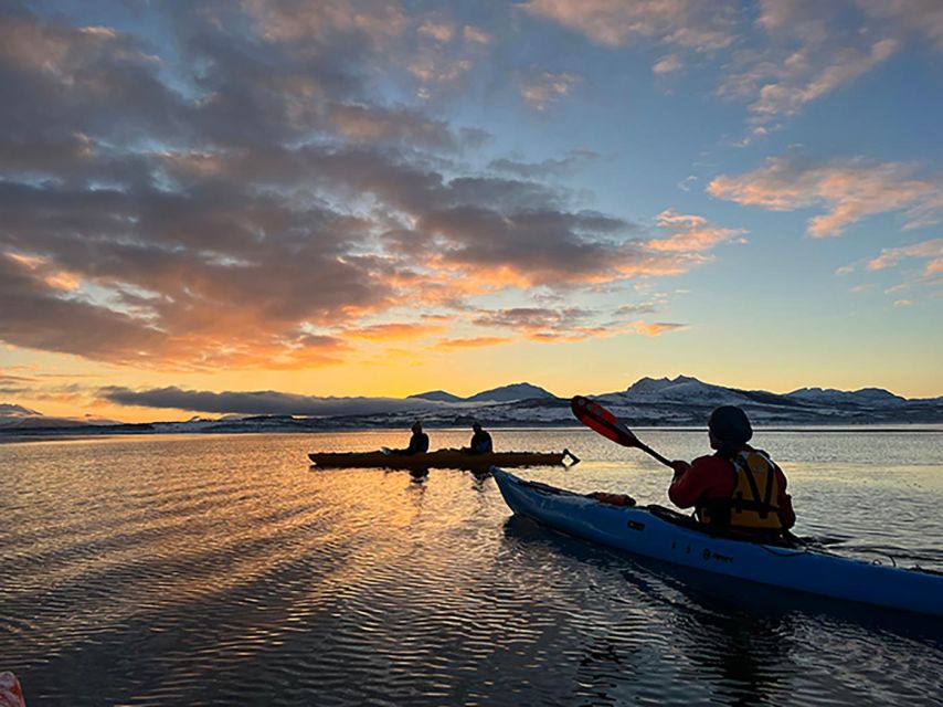 Tromsø: Winter Sea Kayaking Tour with Wildlife Sightings - Quick take: what makes this tour special