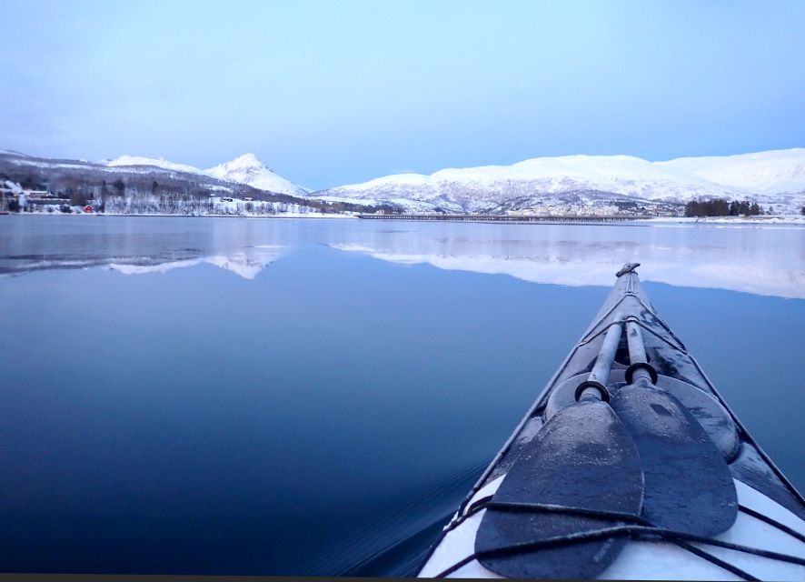 Tromsø: Winter Sea Kayaking Tour with Wildlife Sightings - From Tromsø to the basecamp