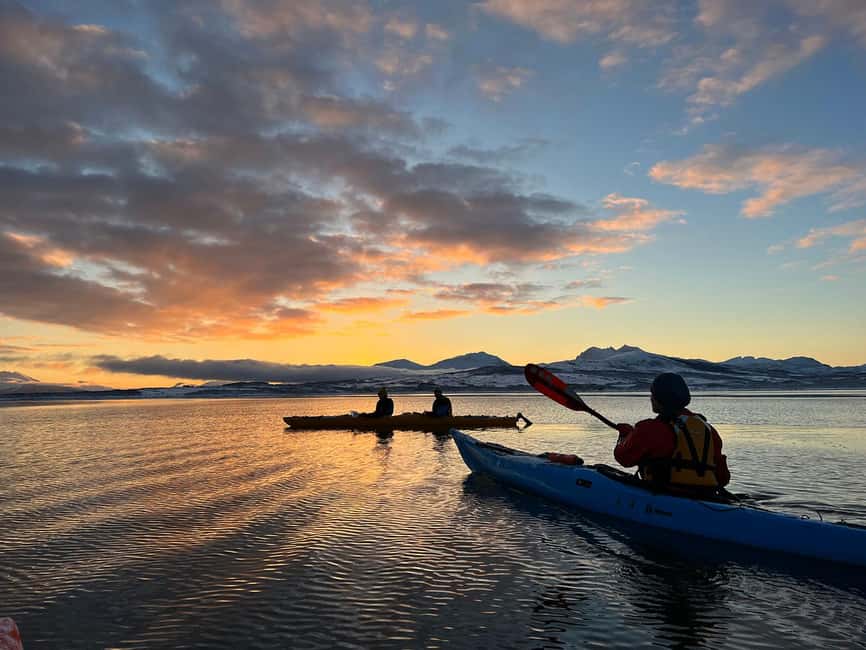 Tromsø: Winter Sea Kayaking Tour with Wildlife Sightings - Paddling through fjords, islands, and ice