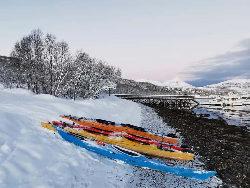 Tromsø: Winter Sea Kayaking Tour with Wildlife Sightings - Wildlife sightings around the sheltered bays