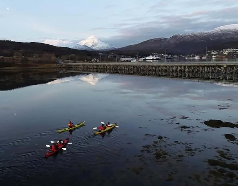 Tromsø: Winter Sea Kayaking Tour with Wildlife Sightings - The guides make the cold manageable