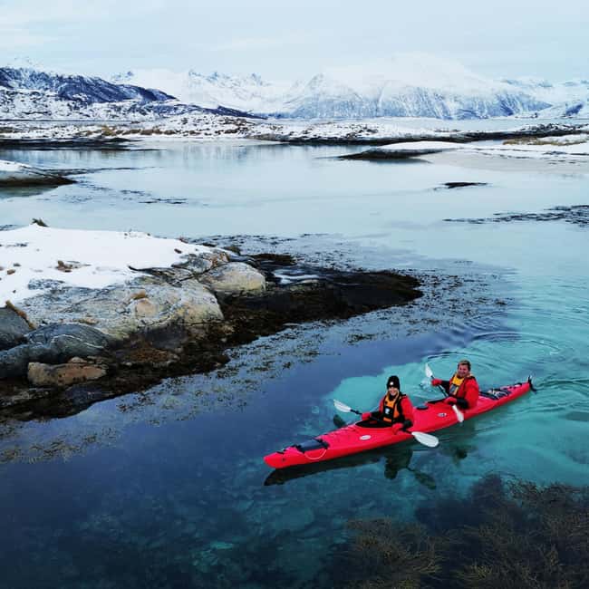 Tromsø: Winter Sea Kayaking Tour with Wildlife Sightings - Who should book it?