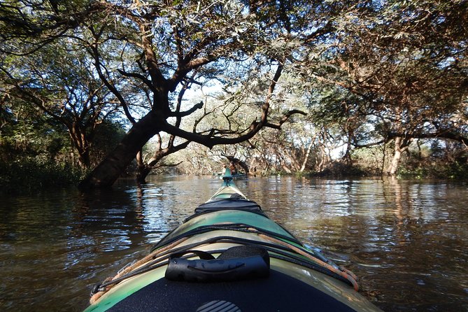 TRU KAYAK - Cruise along the majestic Uruguay River - Setting out from San José at 10:00 am