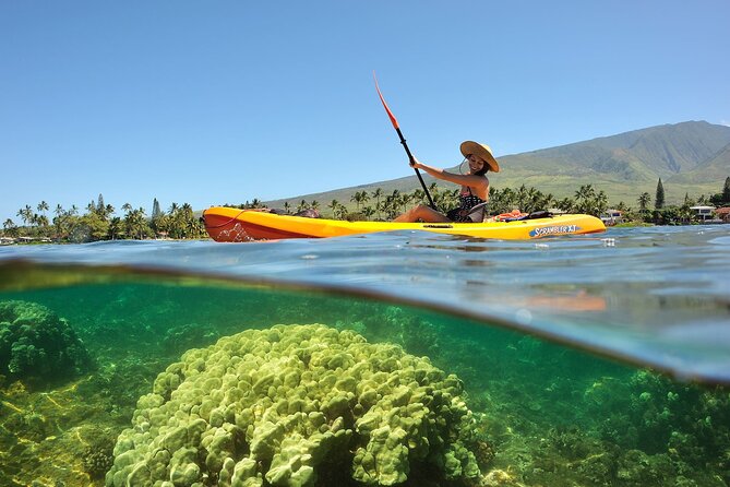 Turtle Reef Kayak Tour of Makena, Maui - Practical details that make the morning easier