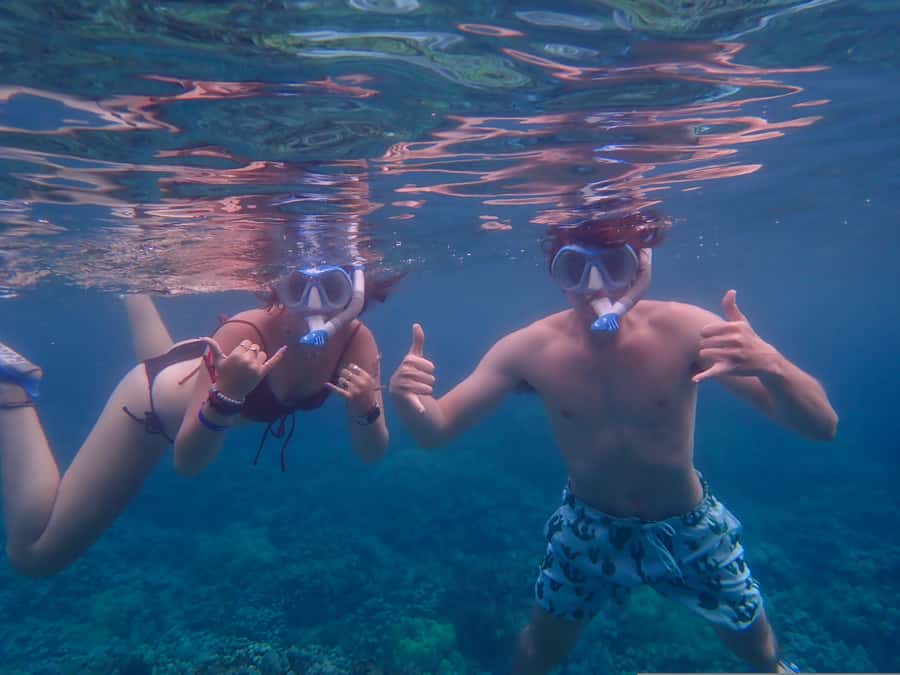 Turtle Town Clear Kayak & Snorkel Tour (8am-11am) - Price, equipment, and what you get