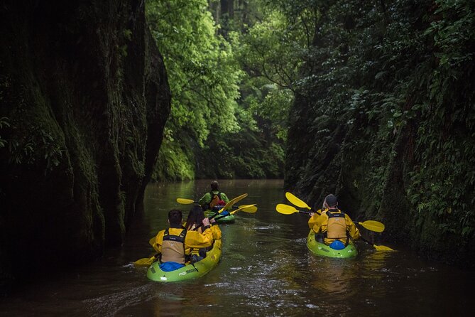 Twilight Glowworm Kayak Tour – Lake Karapiro - The glowworm return after dark