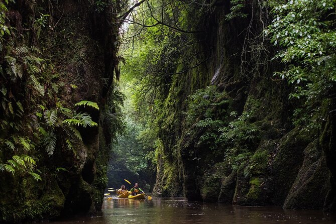 Twilight Glowworm Kayak Tour – Lake Karapiro - Who will enjoy this most?