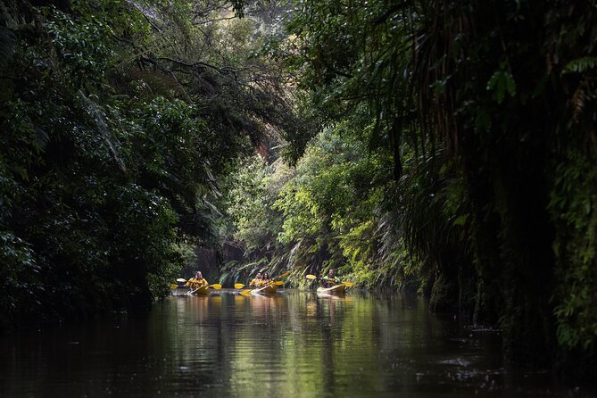 Twilight Glowworm Kayak Tour – Lake Karapiro - Practical planning for the evening