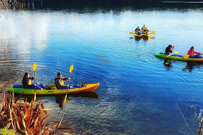 Twilight Glowworm Kayak Tour – Lake Karapiro - Entering the Pokaiwhenua Stream and canyon