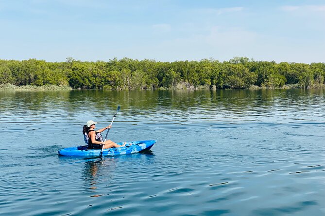 Two Hours Guided Kayaking Tour Reem Central Park Abu Dhabi - The 15-minute beach break