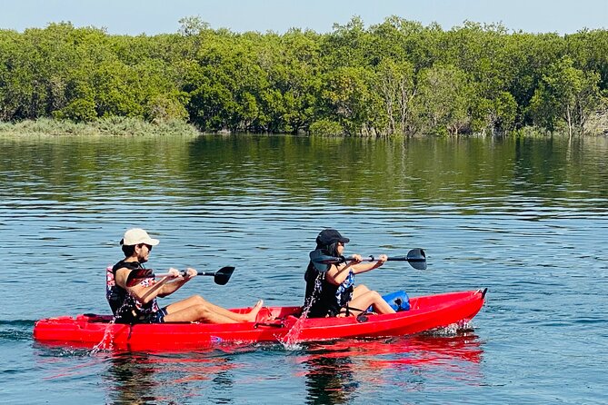 Two Hours Guided Kayaking Tour Reem Central Park Abu Dhabi - Is $83.74 fair for two hours?
