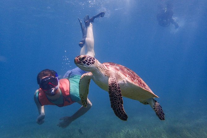 Under the Sea snorkeling(Stingray/Kayak/ Power Snorkel available) - What the three-hour Antigua outing is really like
