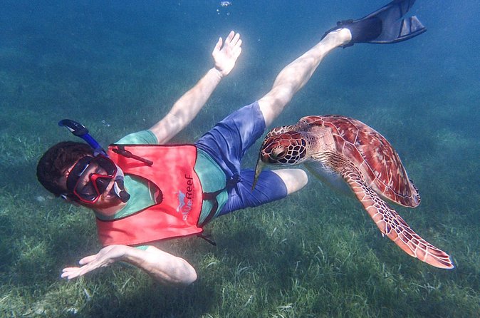 Under the Sea snorkeling(Stingray/Kayak/ Power Snorkel available) - Weather, cancellations, and firm booking rules