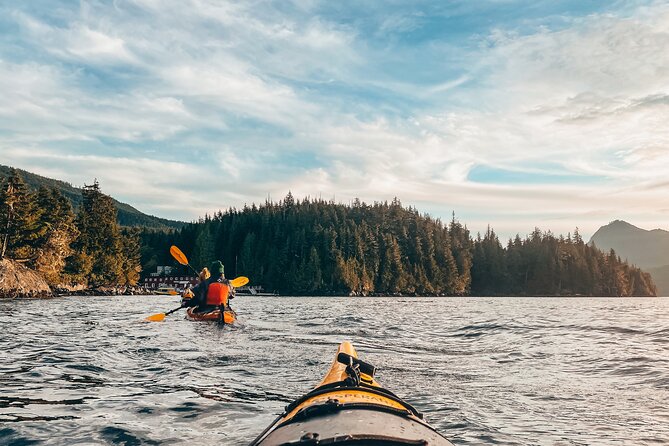 Vancouver Island: Half-Day Kayak Tour from Telegraph Cove - Key points to know before you paddle