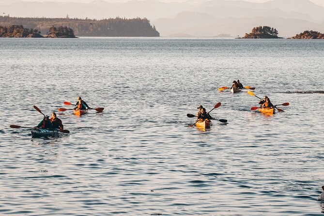 Vancouver Island: Half-Day Kayak Tour from Telegraph Cove - Paddling out from Telegraph Cove