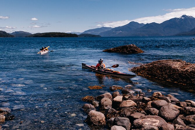 Vancouver Island: Half-Day Kayak Tour from Telegraph Cove - Is $128.87 a fair price?