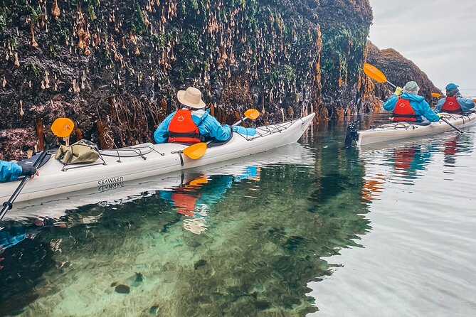 Vancouver Island: Half-Day Kayak Tour from Telegraph Cove - Who should book this Telegraph Cove kayak trip?
