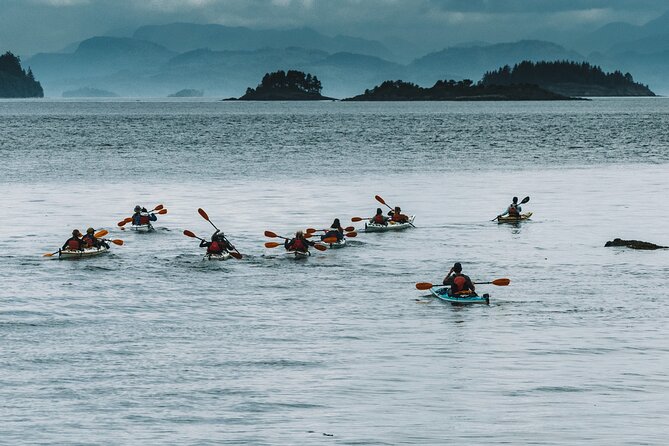 Vancouver Island: Half-Day Kayak Tour from Telegraph Cove - Blinkhorn Peninsula and the shallow coastal habitats