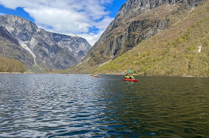 Vossevangen: Nærøyfjord Full-Day Guided Kayaking Trip - What the guide adds, and where the trip may fall short