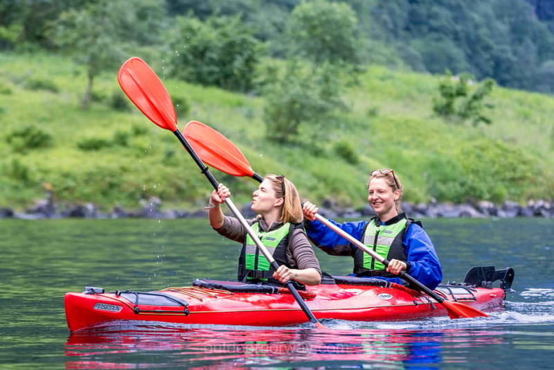 Vossevangen: Nærøyfjord Full-Day Guided Kayaking Trip - How the $181 price measures up