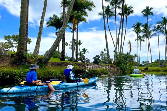 Wailoa River to King Kamehameha Statue Kayak Adventure - Starting at Hilo Ocean Adventures on Kamehameha Avenue
