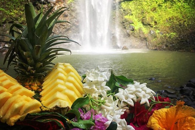 Wailua River & Waterfalls Kayak Tour: Expert-Guided Adventure - Secret Falls, swimming, and lunch