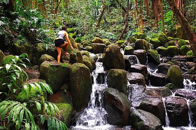 Wailua River & Waterfalls Kayak Tour: Expert-Guided Adventure - Why the guides make a difference