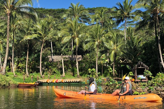 Wailua River & Waterfalls Kayak Tour: Expert-Guided Adventure - Price, time, and overall value
