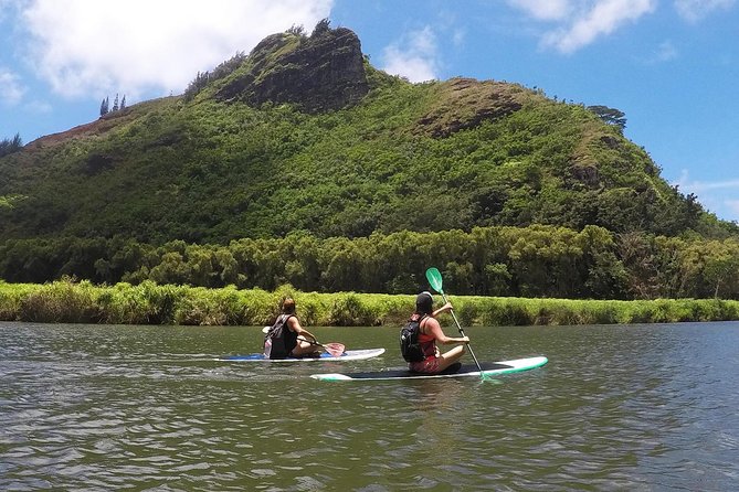 Wailua River & Waterfalls Kayak Tour: Expert-Guided Adventure - Choosing the best start time