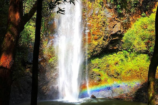 Wailua River & Waterfalls Kayak Tour: Expert-Guided Adventure - Weather, cancellation, and what to pack