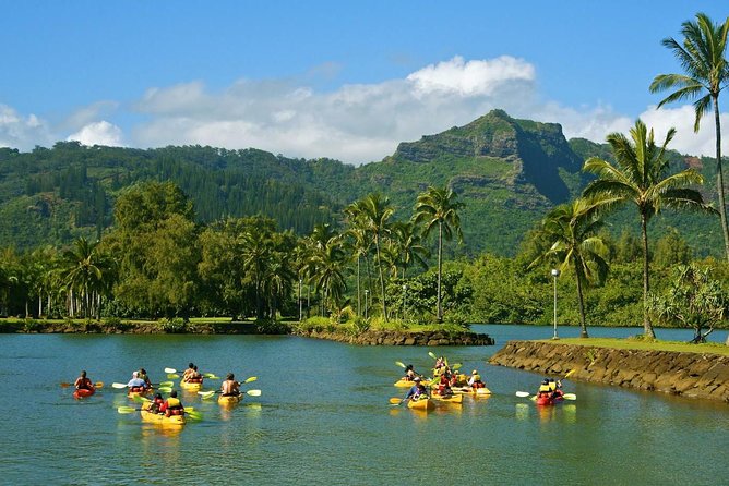 Wailua River & Waterfalls Kayak Tour: Expert-Guided Adventure - Who should book this Kauai adventure?