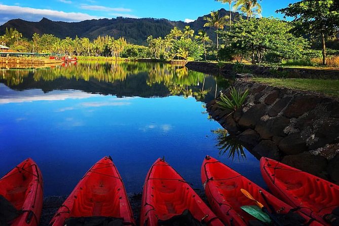 Wailua River & Waterfalls Kayak Tour: Expert-Guided Adventure - The rainforest route to Secret Falls