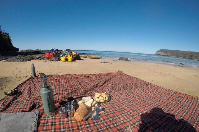 Whale Watching by Sea Kayak in Batemans Bay - What to pack for a comfortable half-day