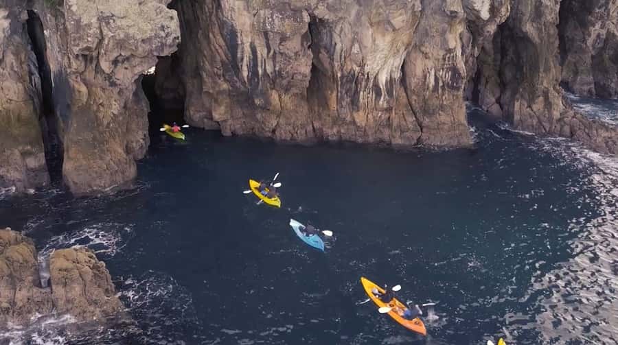 Whangamata: Donut Island Guided Kayaking Experience - Key points to know before you go
