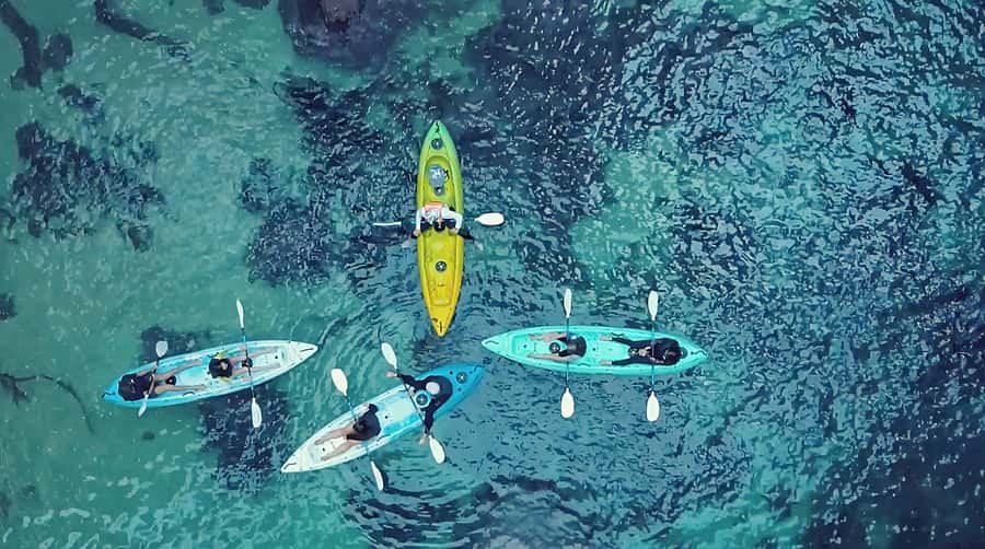 Whangamata: Donut Island Guided Kayaking Experience - From Pipi Road to Whangamata Beach