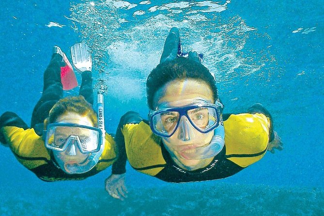 Whitsunday Islands Sail, SUP & Snorkel Tour- Small group - Comfort between the activities