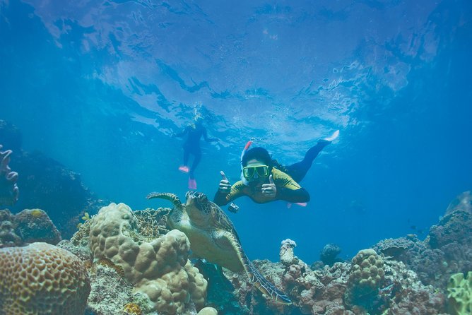 Whitsunday Islands Sail, SUP & Snorkel Tour- Small group - Morning tea and the first sail