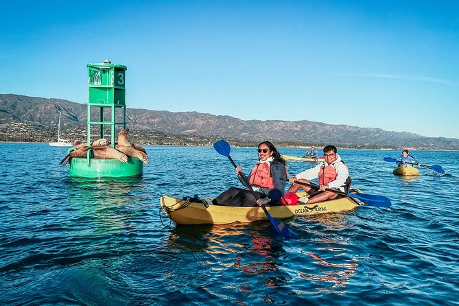 Wildlife Kayak Tour in Santa Barbara Harbor (2 Hours) - Launching safely from Santa Barbara Harbor