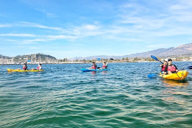 Wildlife Kayak Tour in Santa Barbara Harbor (2 Hours) - Guides who make first-time kayaking easier