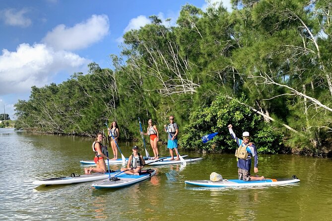Wildlife Refuge Manatee, Dolphin & Mangrove Kayak or Paddleboarding Tour! - Wildlife you might see along the way